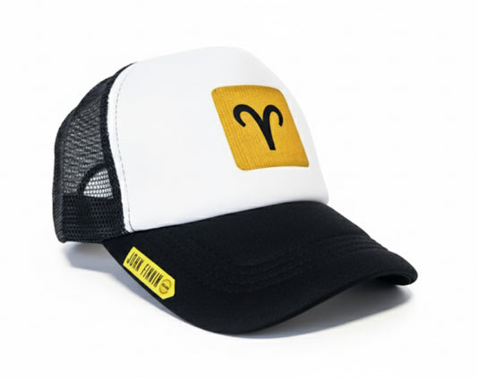 Trucker hat by John finnin high crown