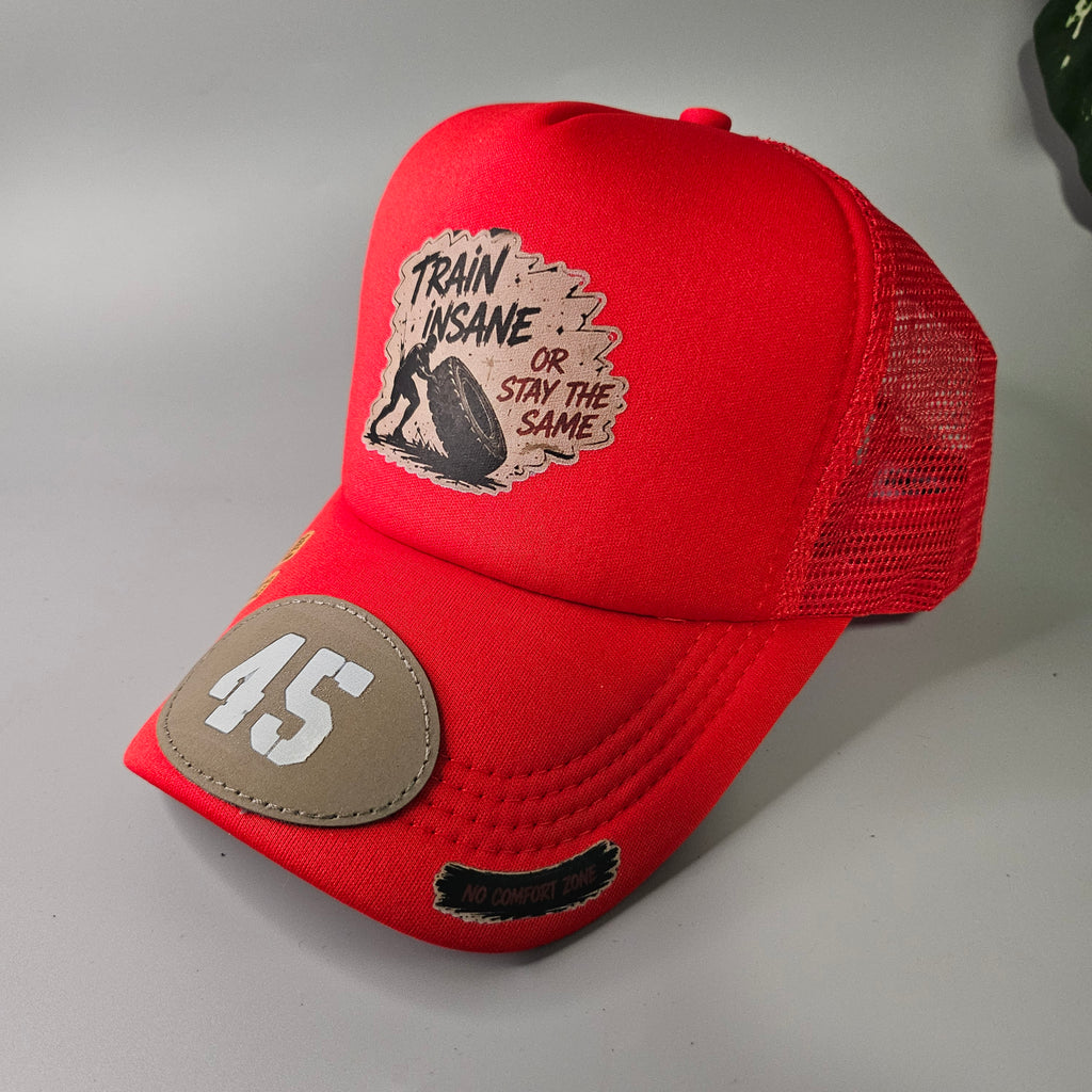 TRAIN INSANE 45 'JOHN FINNIN TRUCKER
