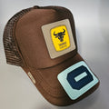TAURUS 0 'JOHN FINNIN TRUCKER