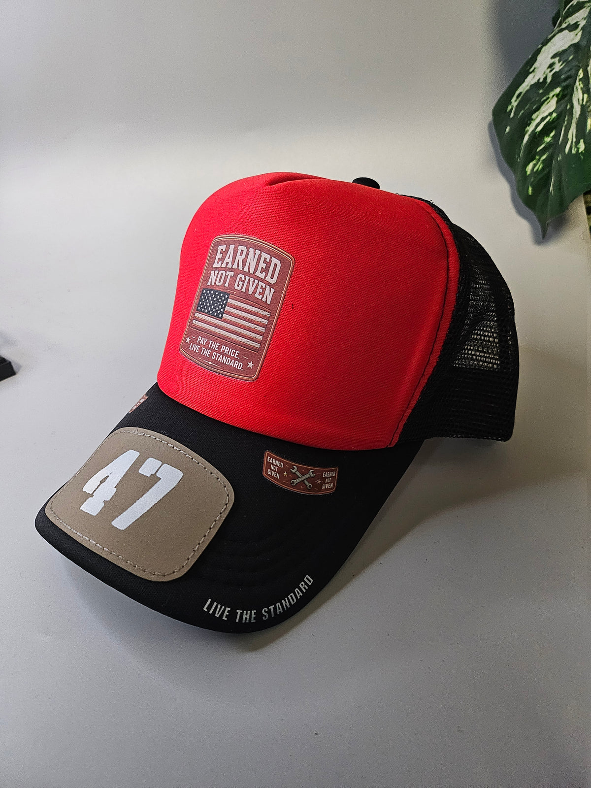 EARNED NOT GIVEN 47 'JOHN FINNIN TRUCKER