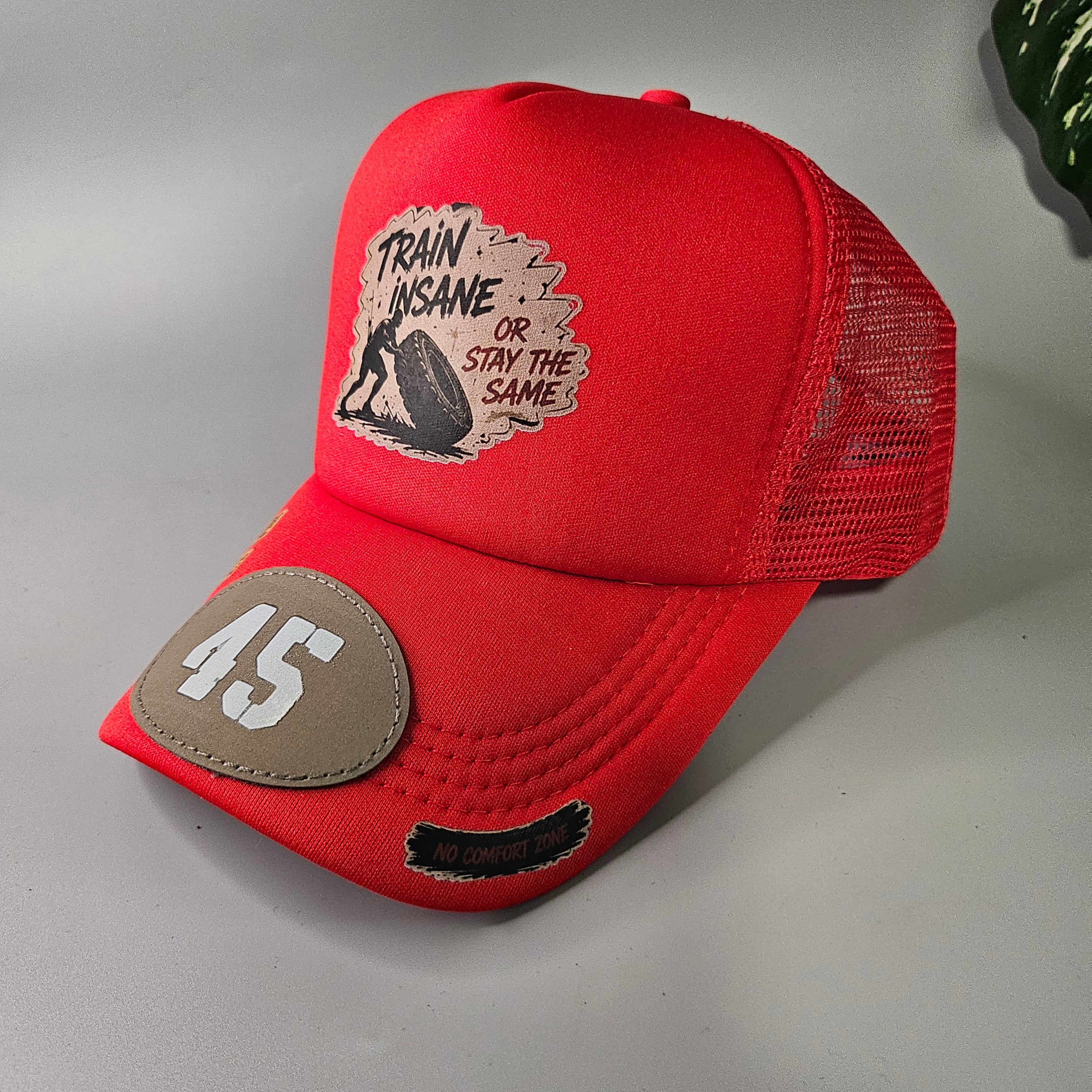 TRAIN INSANE 45 'JOHN FINNIN TRUCKER