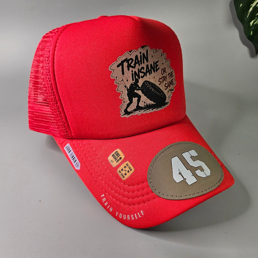 TRAIN INSANE 45 'JOHN FINNIN TRUCKER
