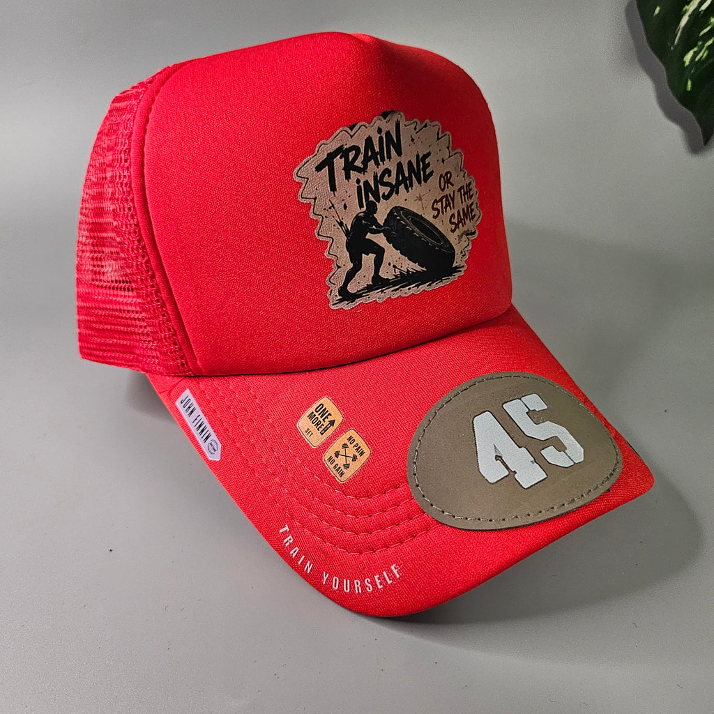 TRAIN INSANE 45 'JOHN FINNIN TRUCKER