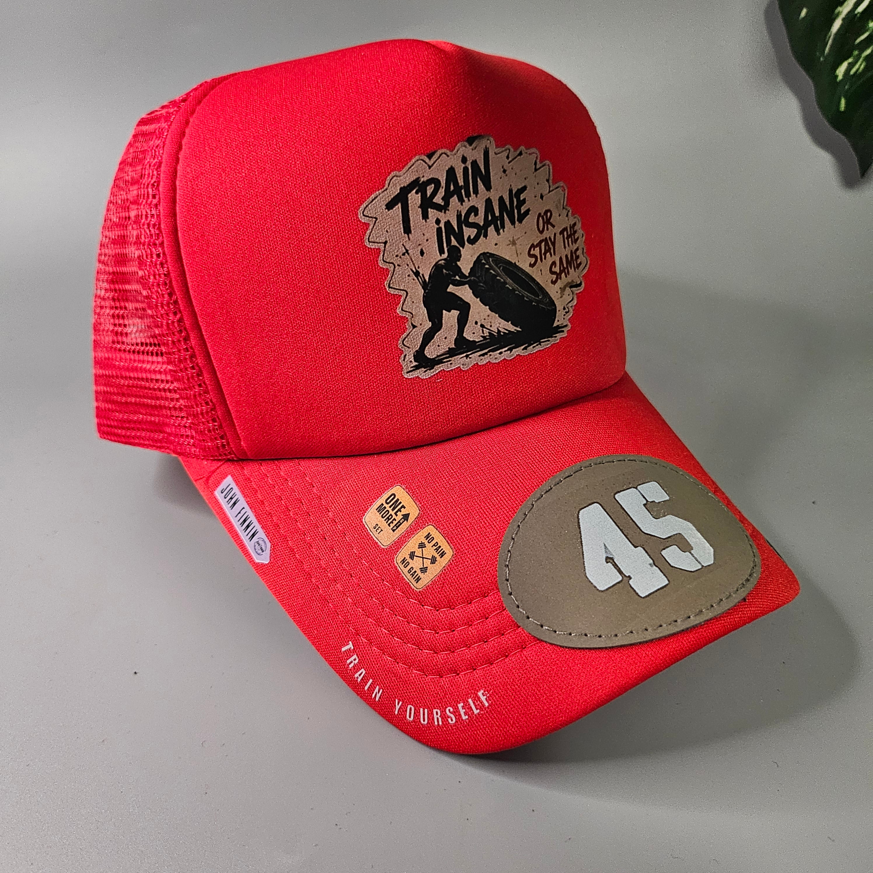 TRAIN INSANE 45 'JOHN FINNIN TRUCKER